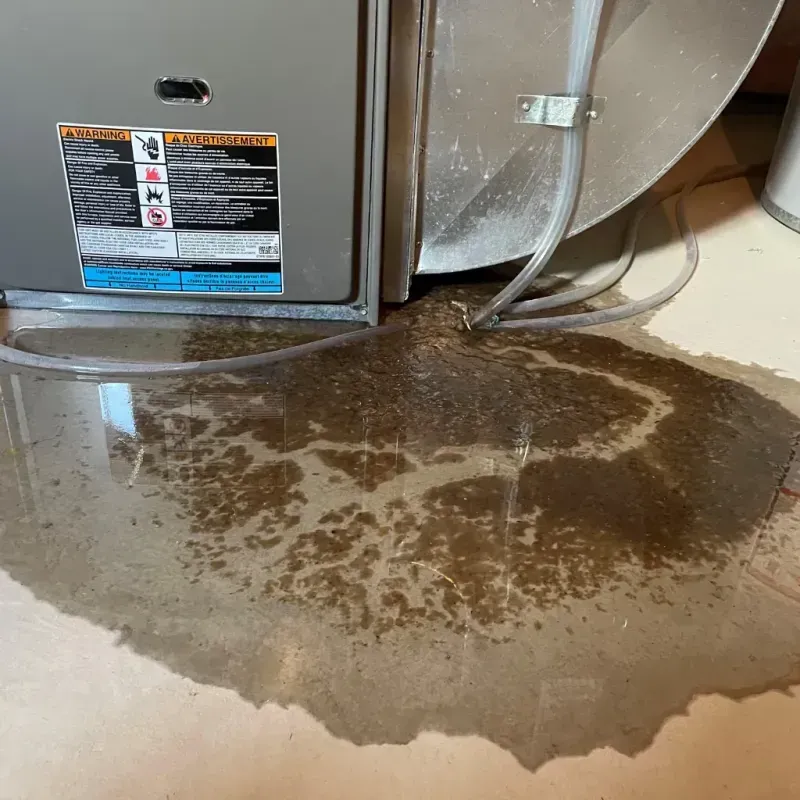 Appliance Leak Cleanup in Vermillion County, IN